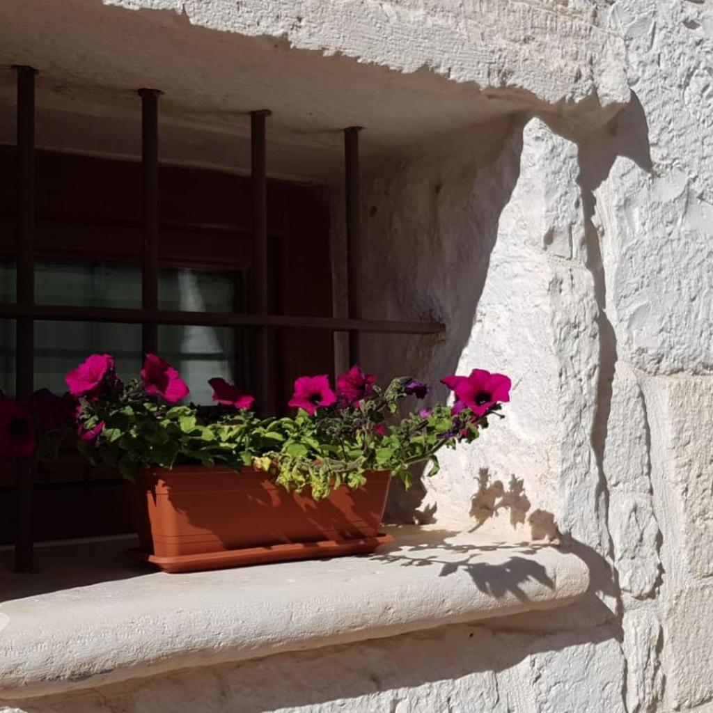 Trullo il cantastorie photo