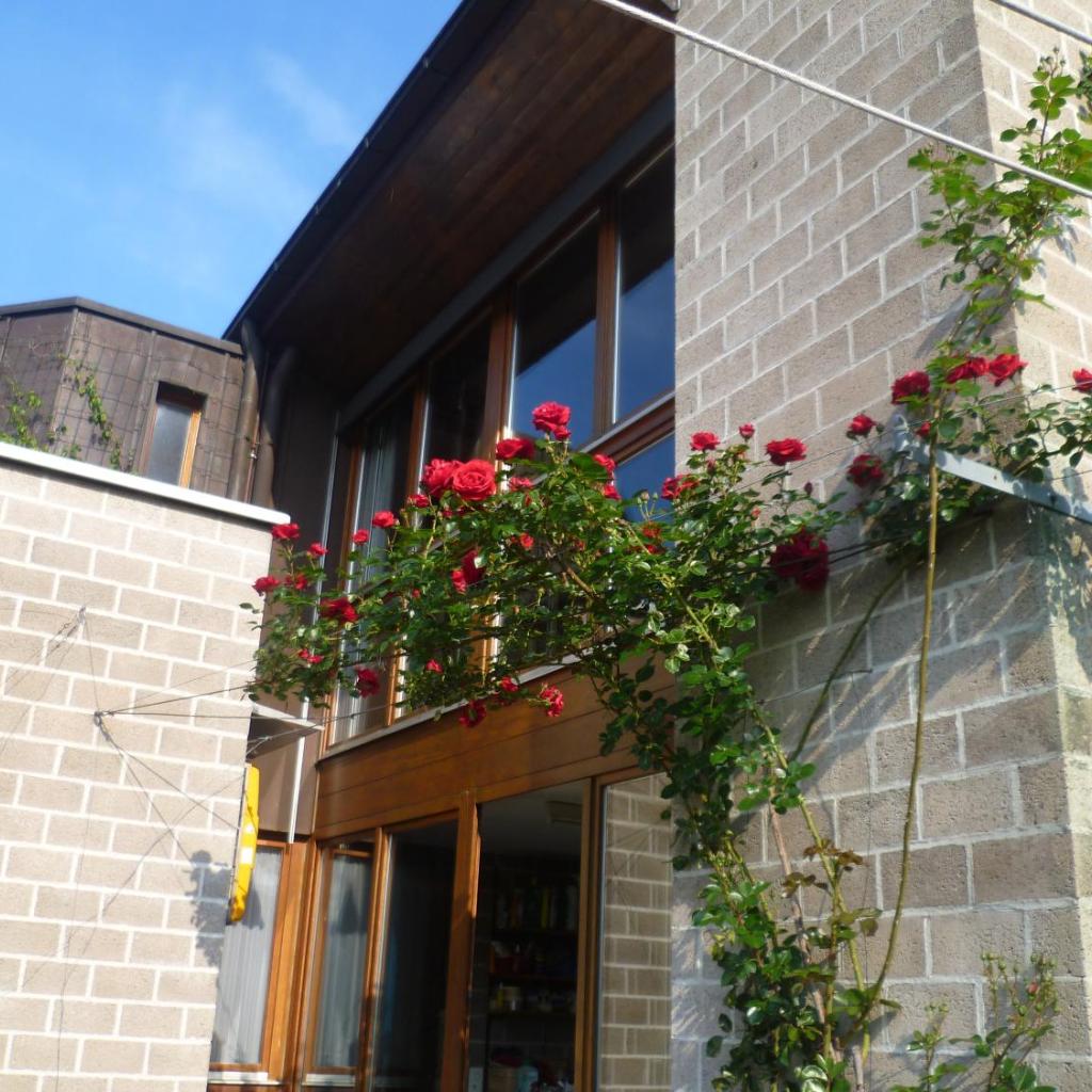 Image 3 - Casa Sot Gesa