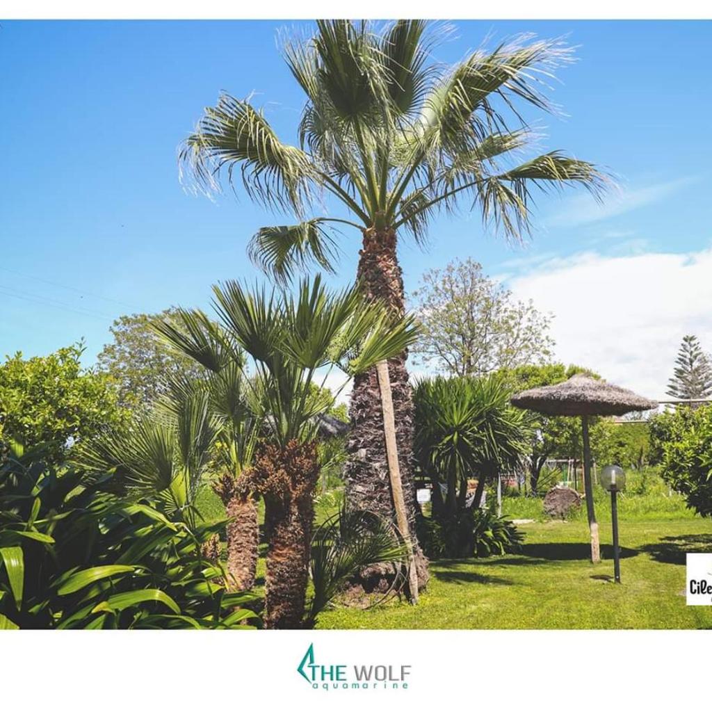 B&b Cilento Paestum photo