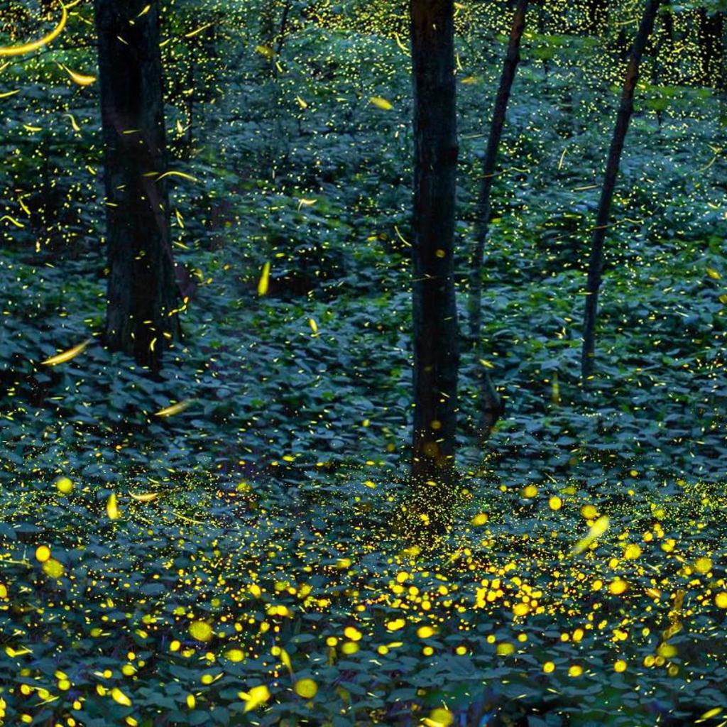 Ca Stella Camping del Monte San Giorgio – Bild