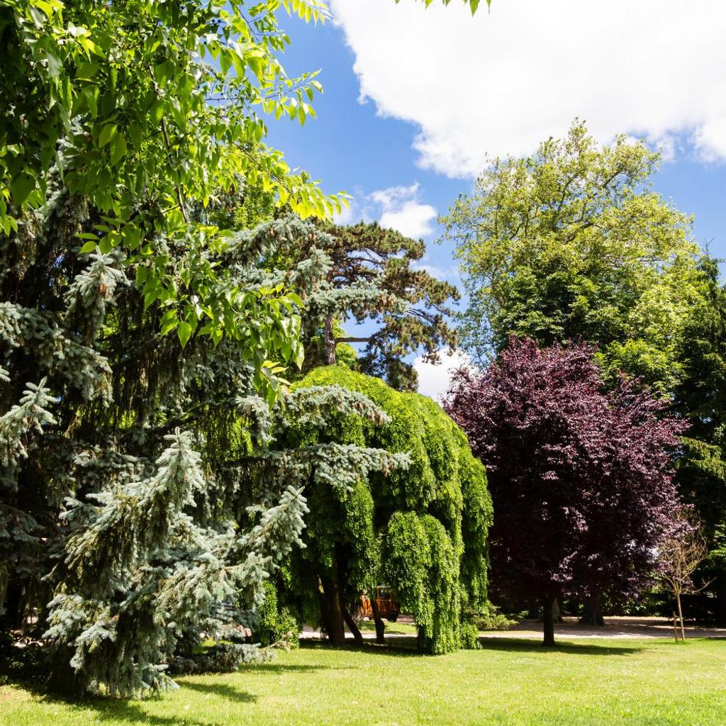 Domaine de Clairefontaine - Teritoria — 
