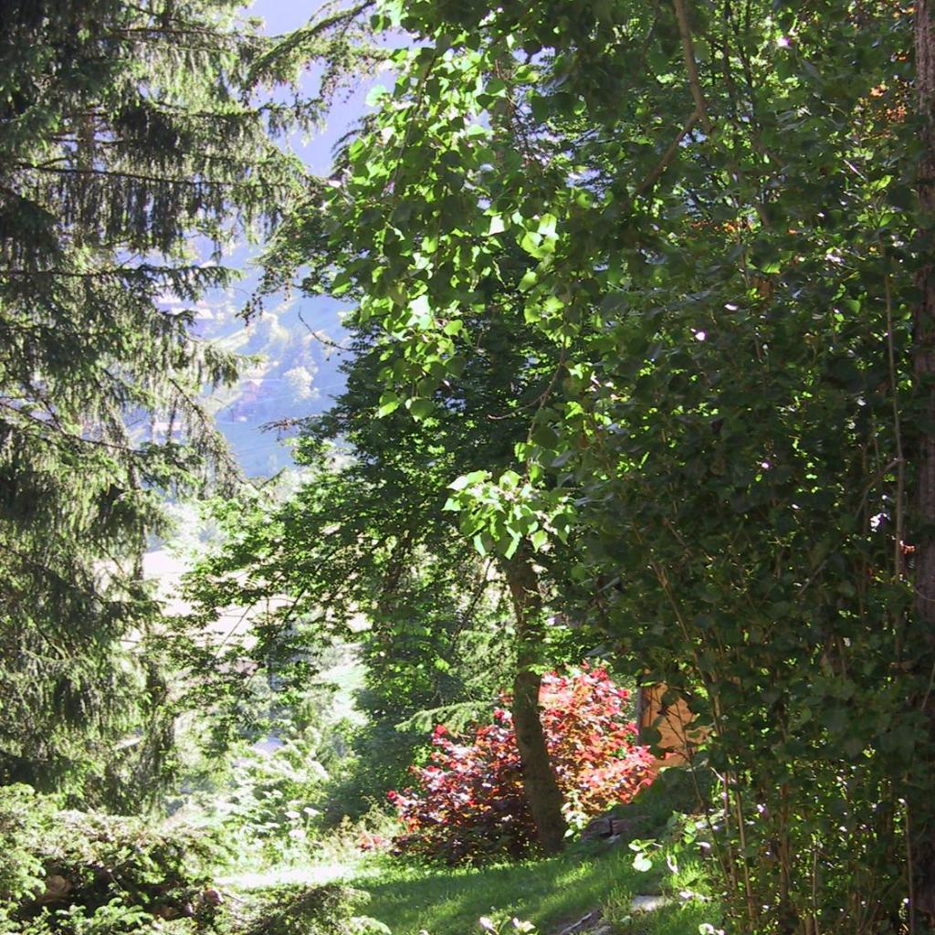 Arche de Noé B&B – Bild