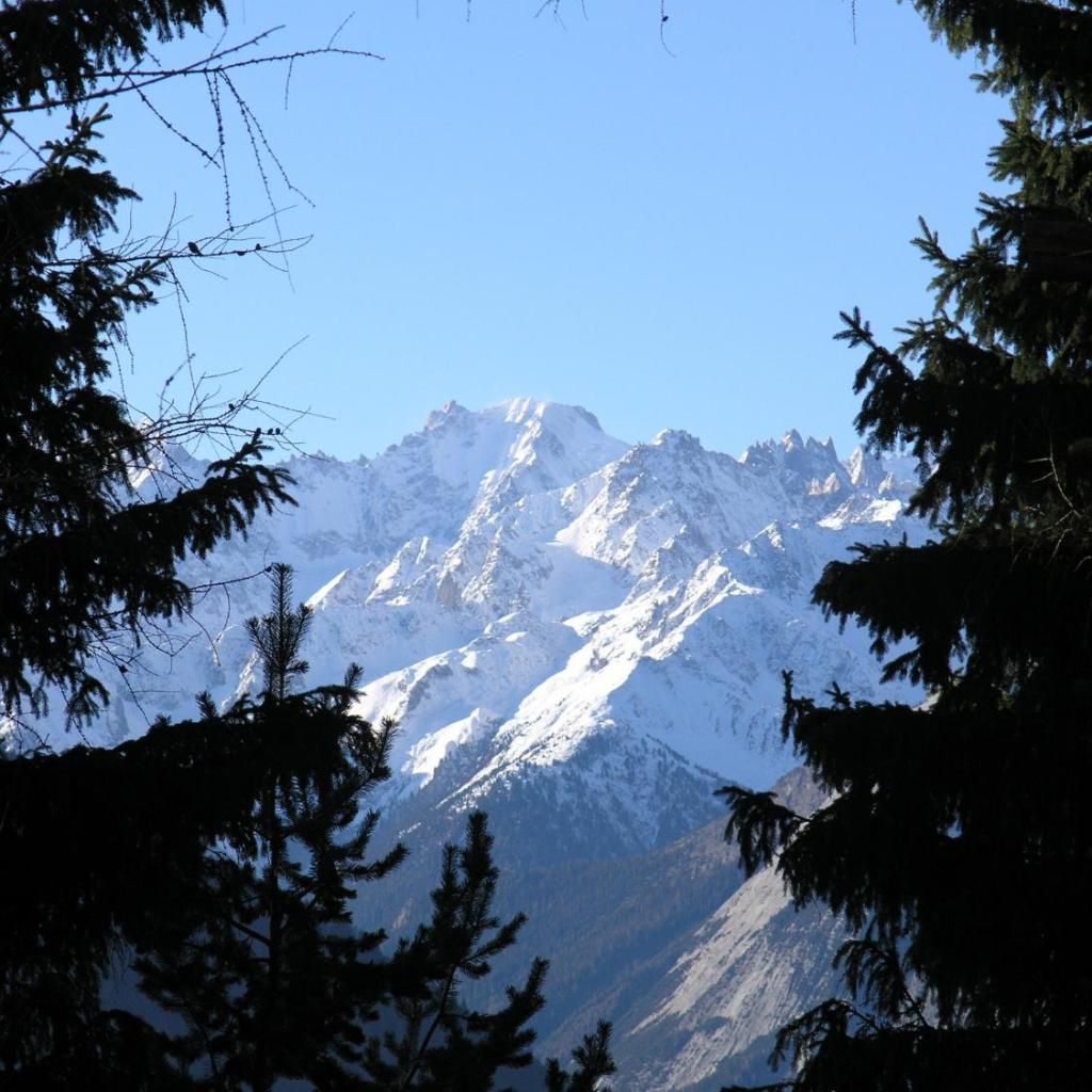 Arche de Noé B&B – Bild