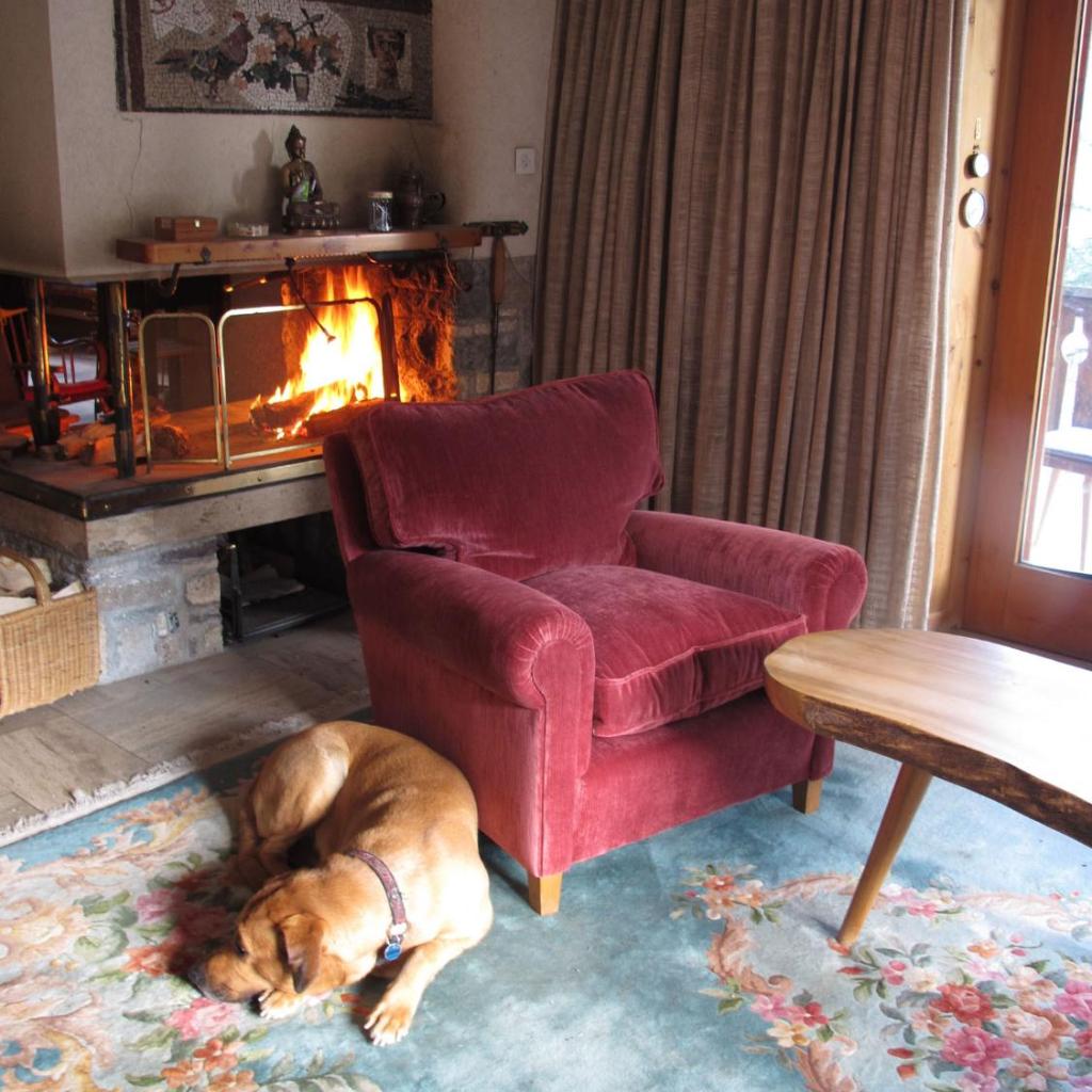 Arche de Noé B&B – Bild