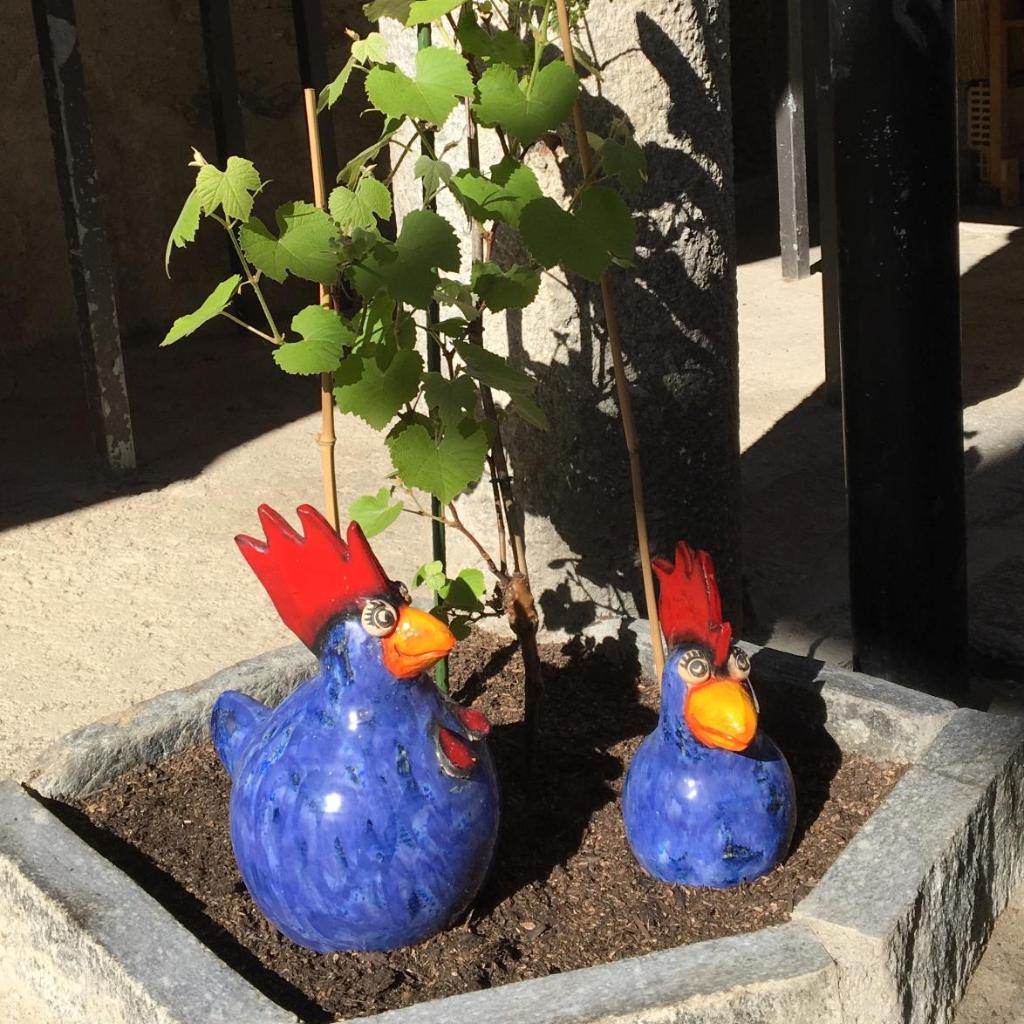 Ca' di Pincia – Bild