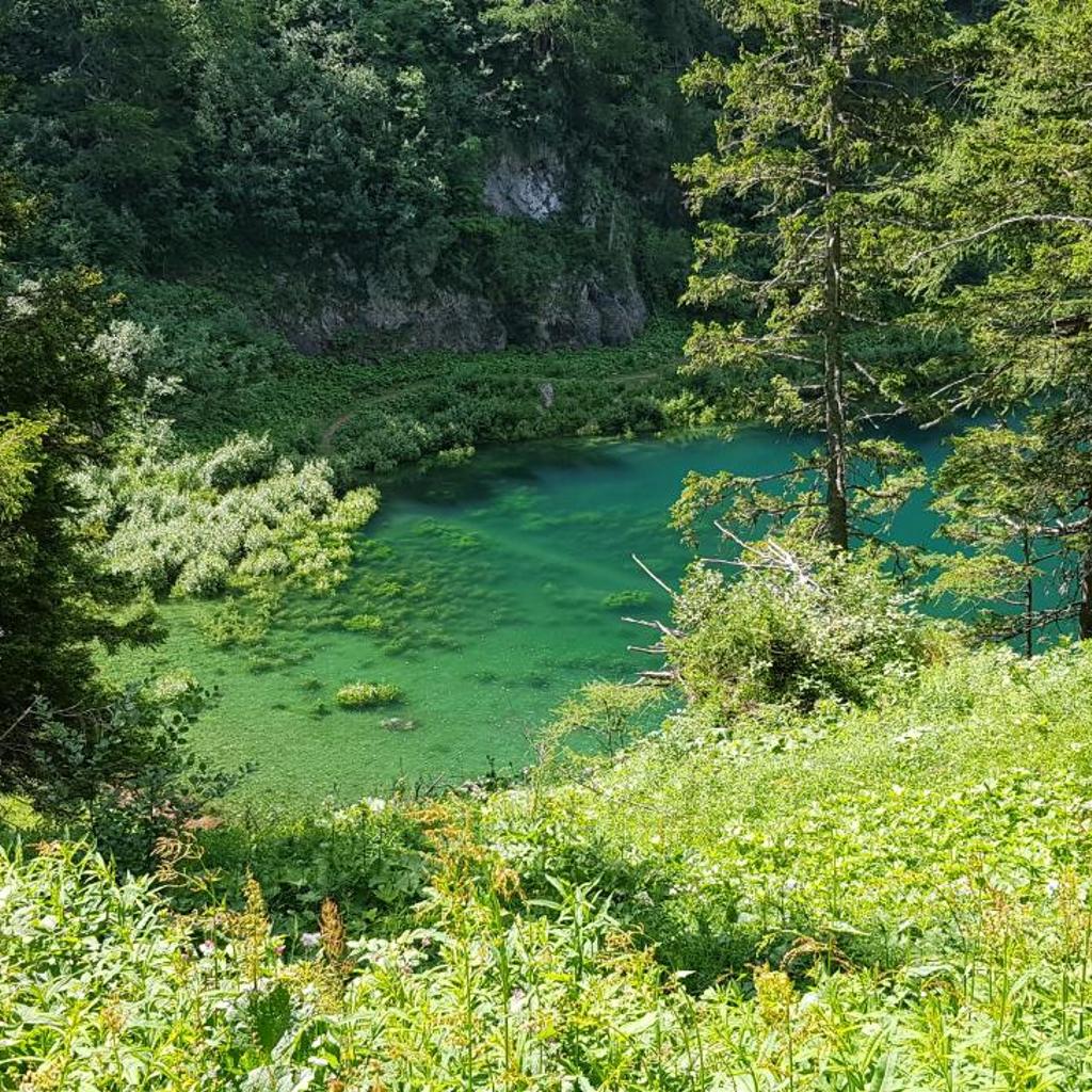 Hotel Des Alpes - Restaurant & Pizzeria – image