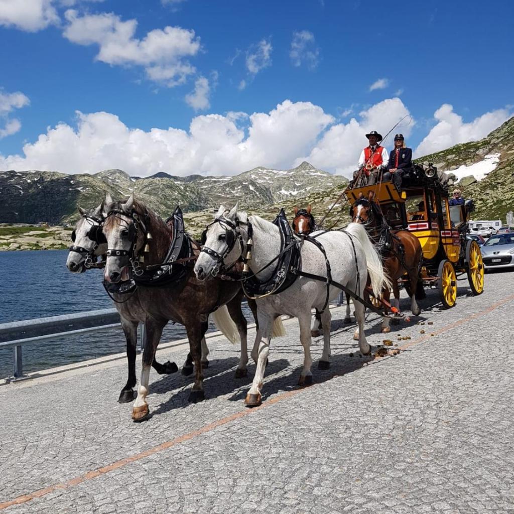 B&B Gottardo – Bild