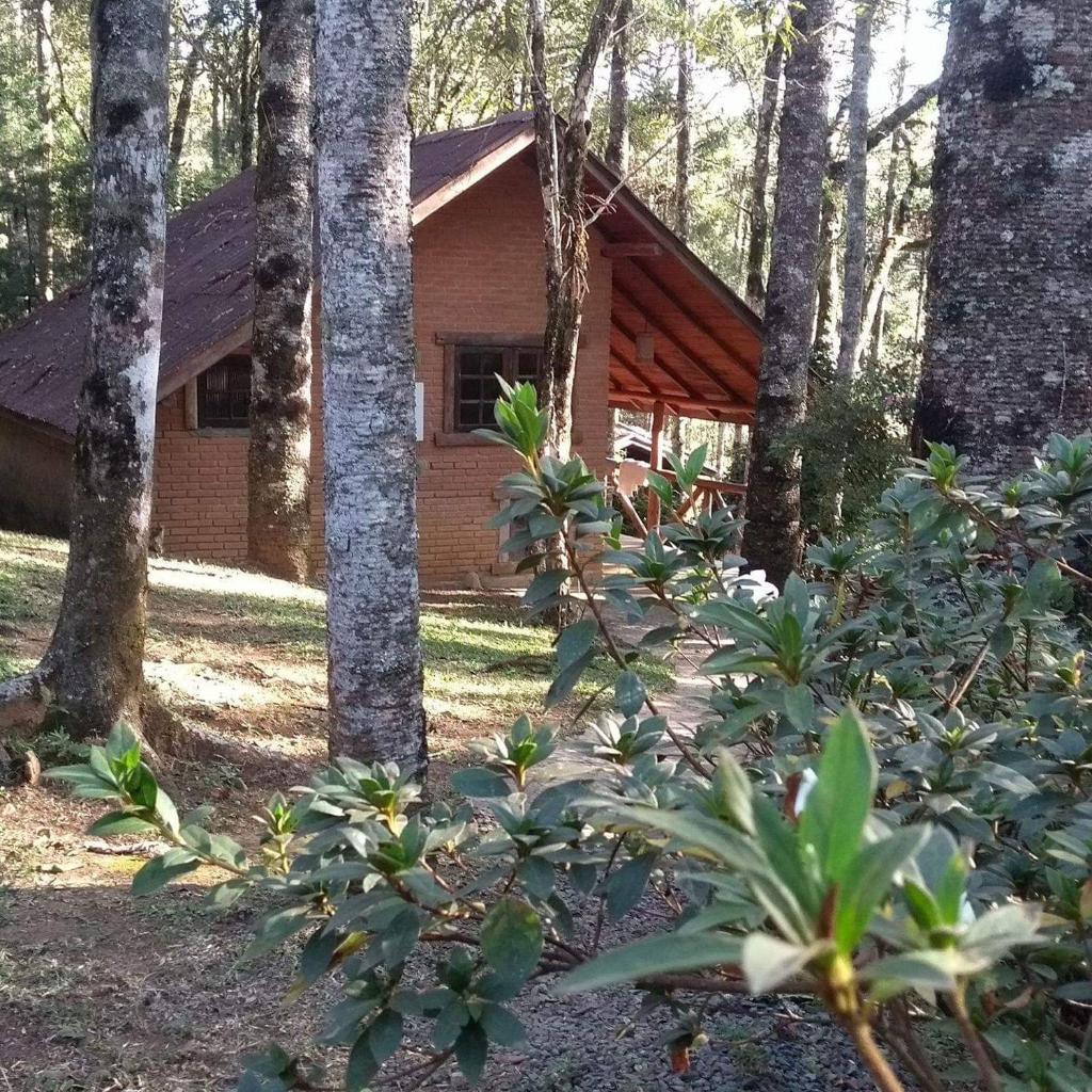 Pousada ao nascer do sol — foto 12