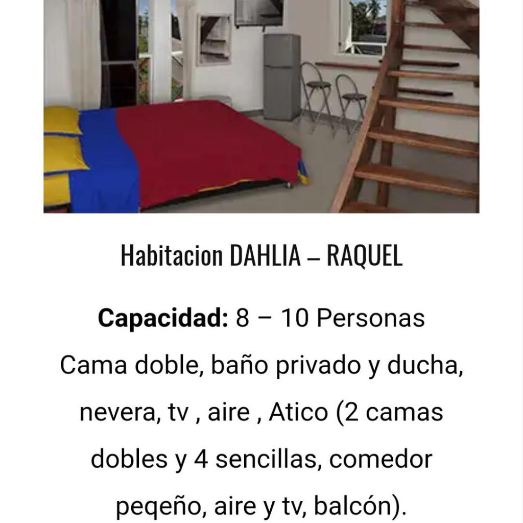 Foto 42