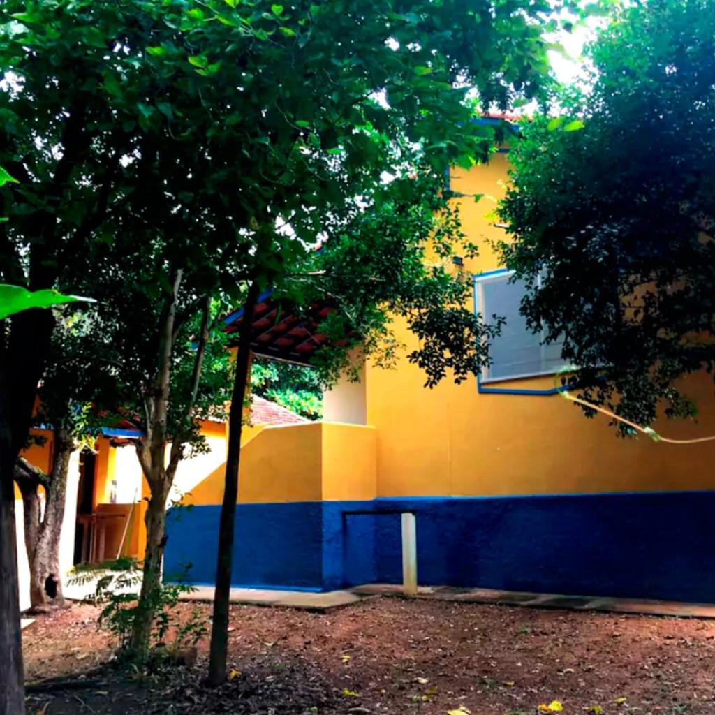 Quinta dos Paiva: horta natural e sossego — foto 5