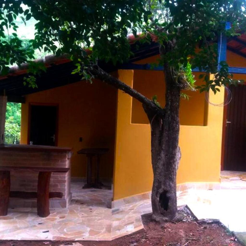 Quinta dos Paiva: horta natural e sossego — foto 7
