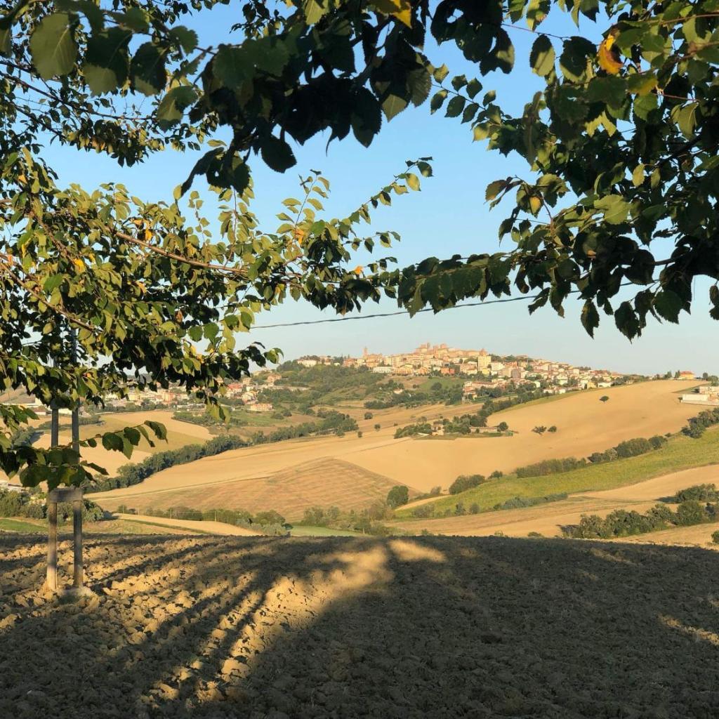 B&B I Pini Di Storaco