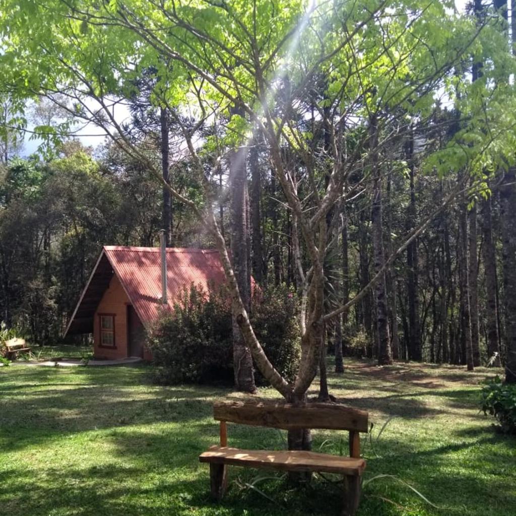 Pousada ao nascer do sol — foto 10