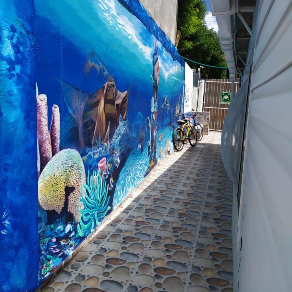 Foto 6