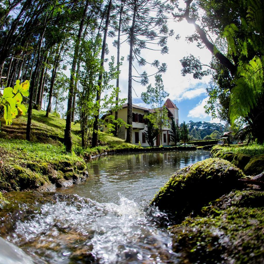 Pousada Vida Verde — foto 6