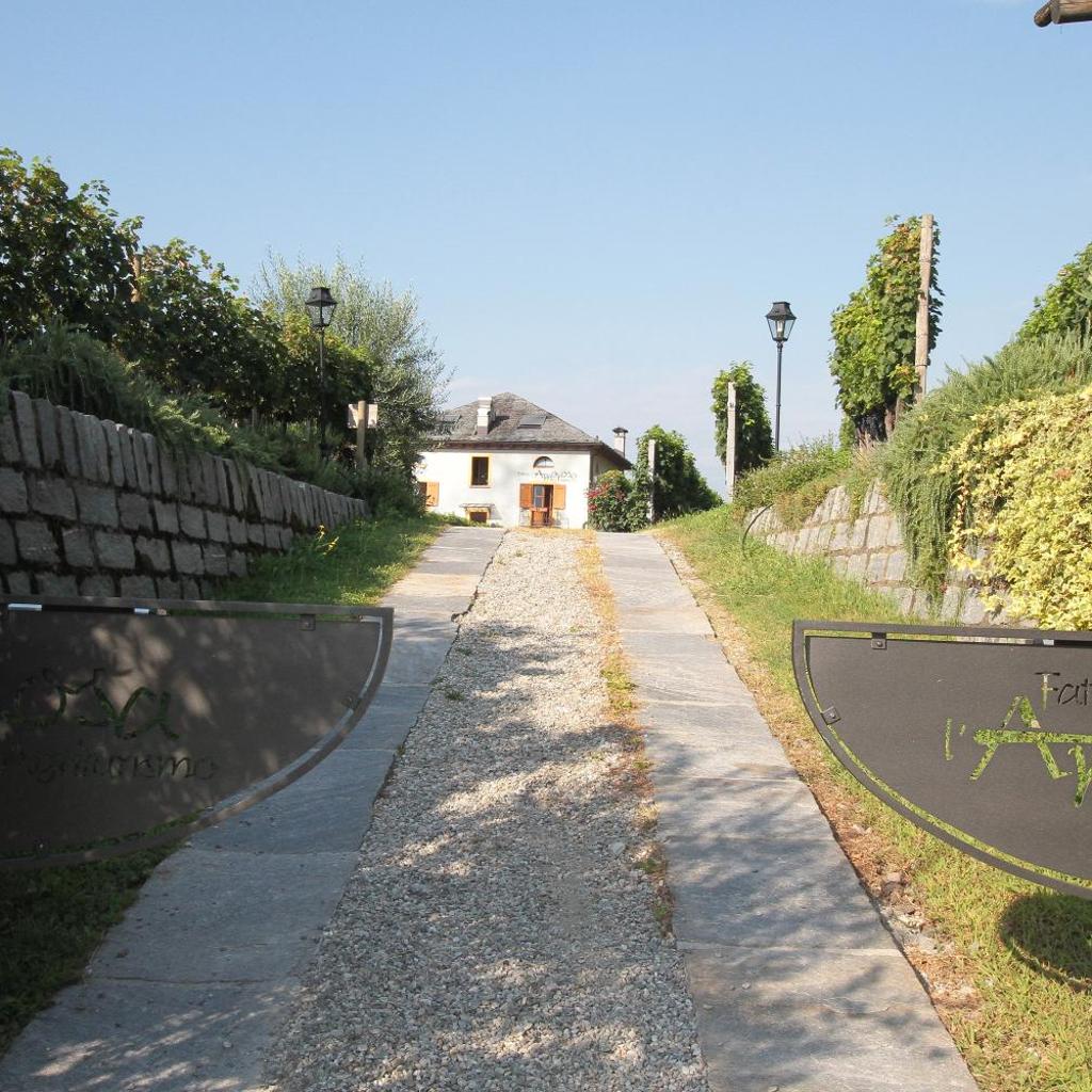 Image 85 - Agriturismo Fattoria l'Amorosa