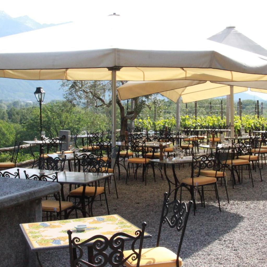 Image 91 - Agriturismo Fattoria l'Amorosa