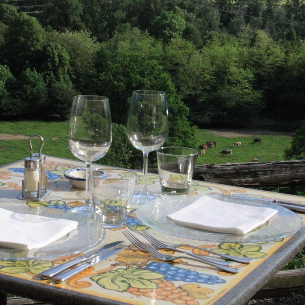 Image 10 - Agriturismo Fattoria l'Amorosa