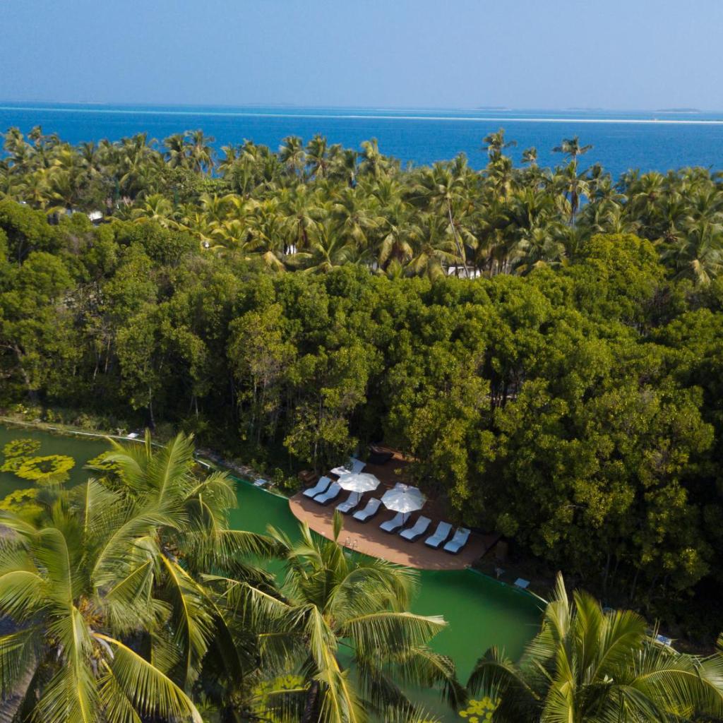 Dreamland Maldives, photo 2