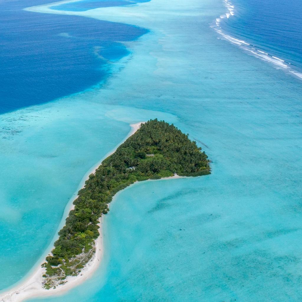 Tranquil Nest Vaavu, photo 3