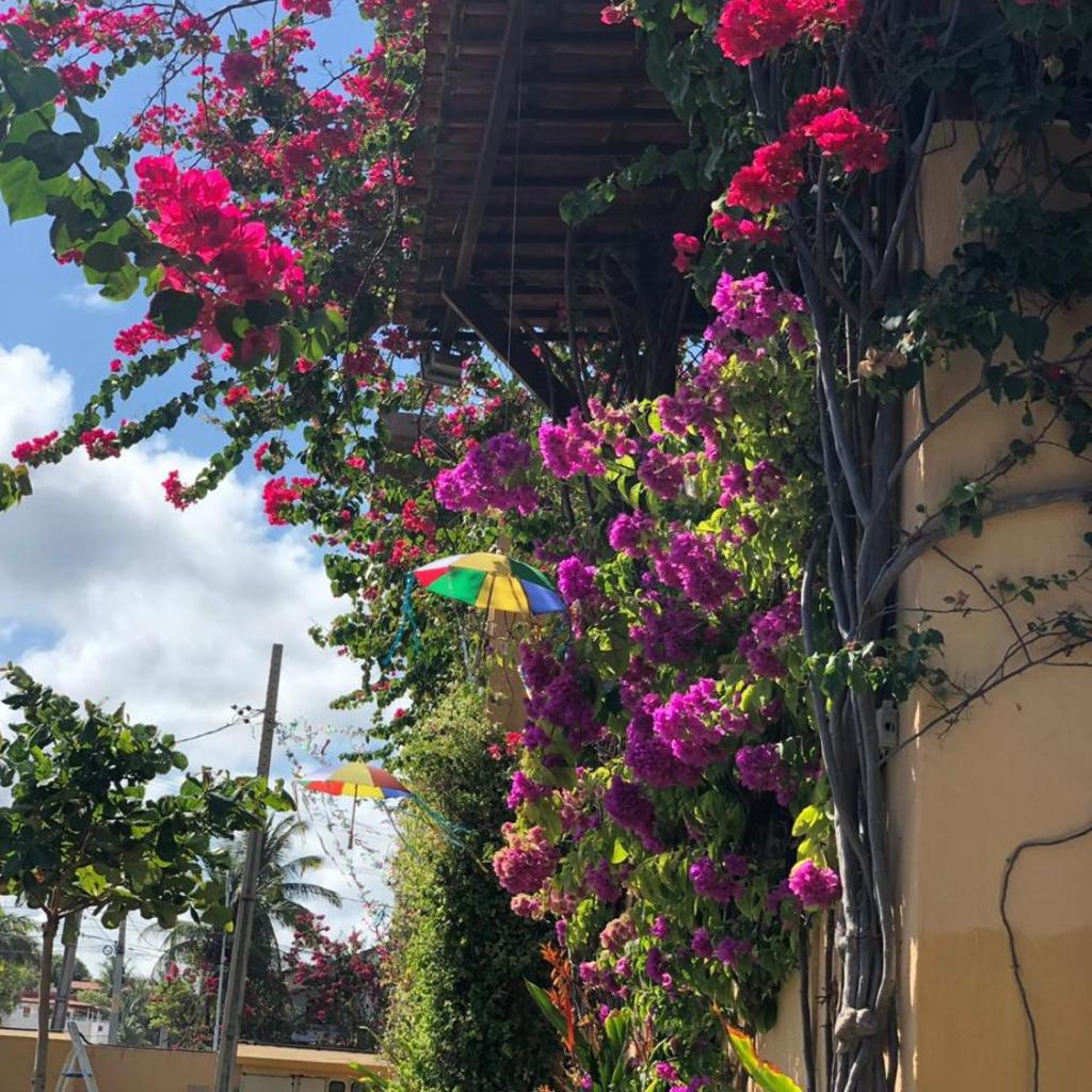 Apartamentos Condominio a Beira Mar — foto 11