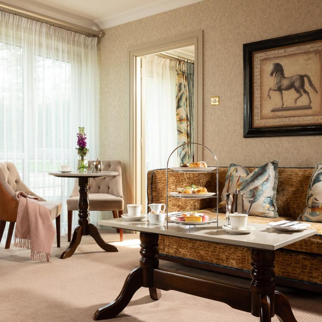 Miniatura dell'hotel 17