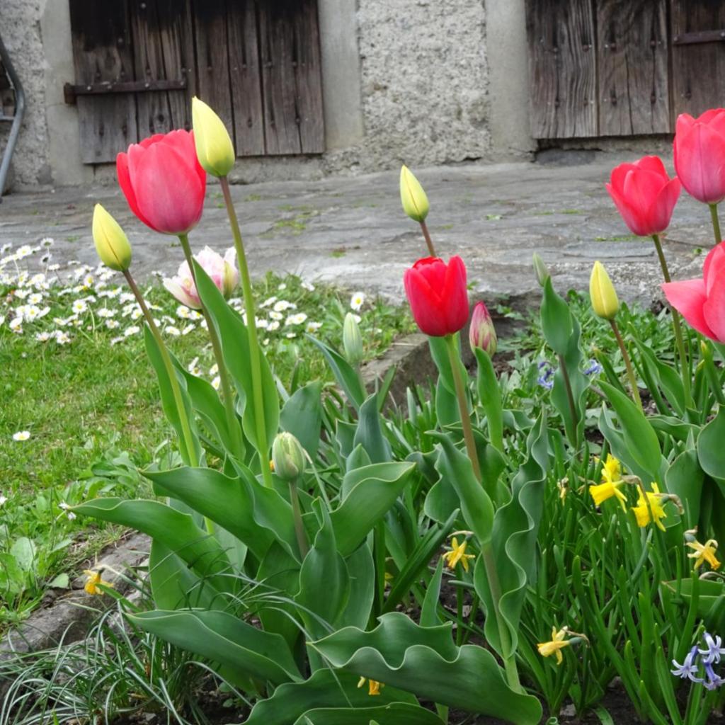 BnB Cà di sciavatin – Bild