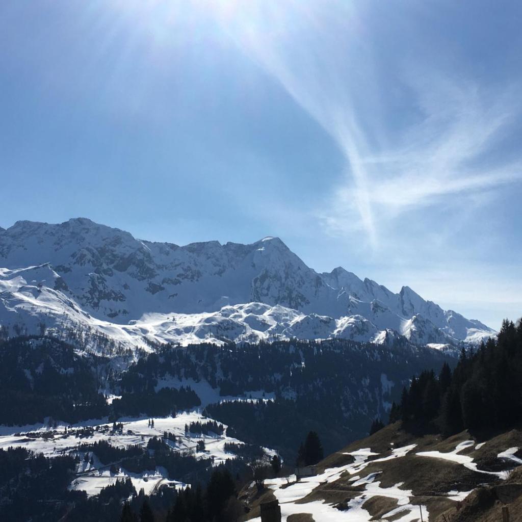 B&B Gottardo – Bild