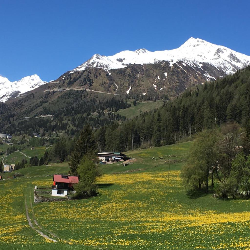 B&B Gottardo – Bild