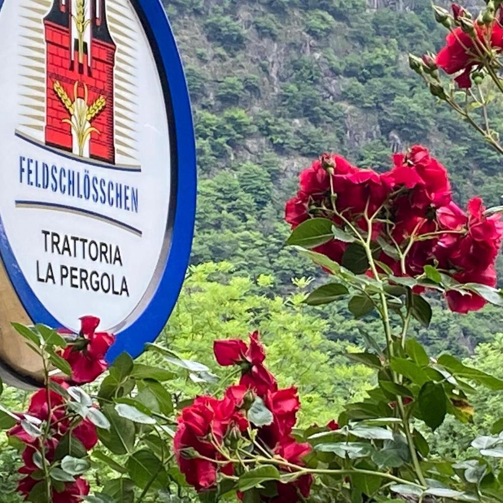 Grotto Pergola – Bild