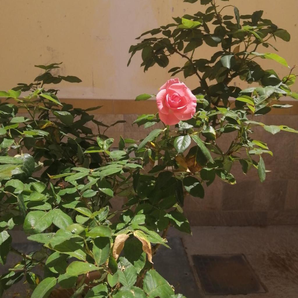 Baglio delle Rondini photo