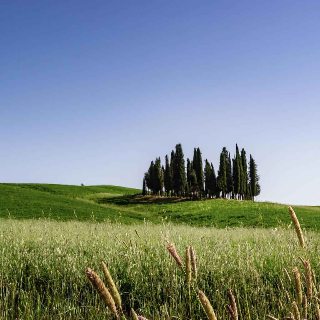 Hotel Corsignano — 
