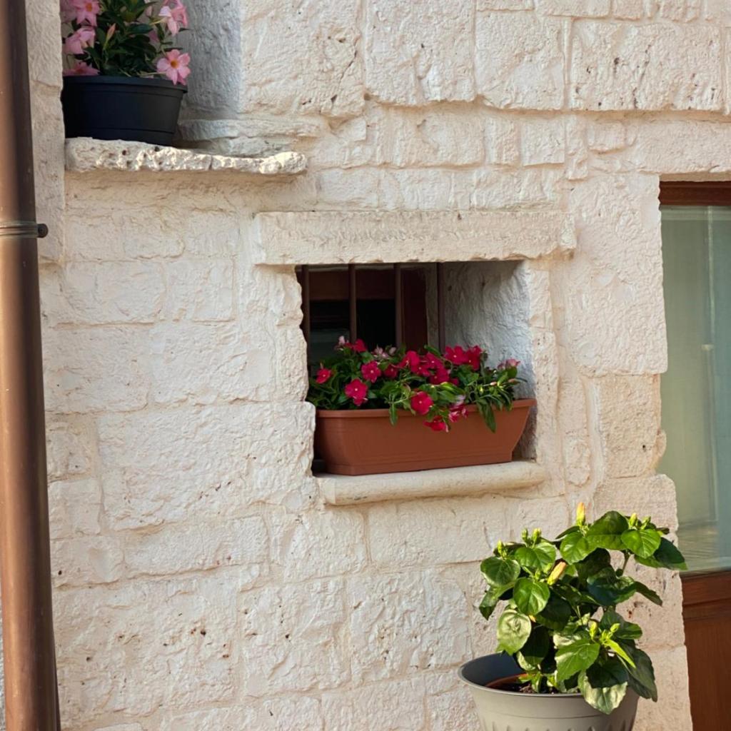 Trullo il cantastorie photo