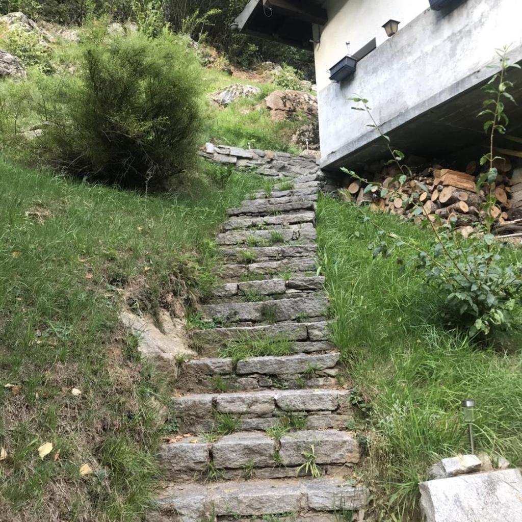 Genzianella – Bild