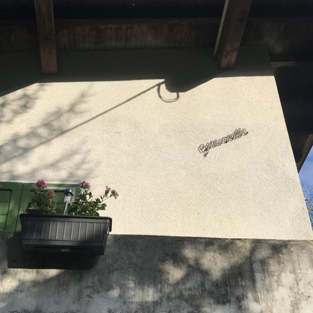 Genzianella – Bild