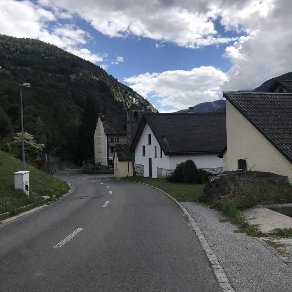 Genzianella – Bild