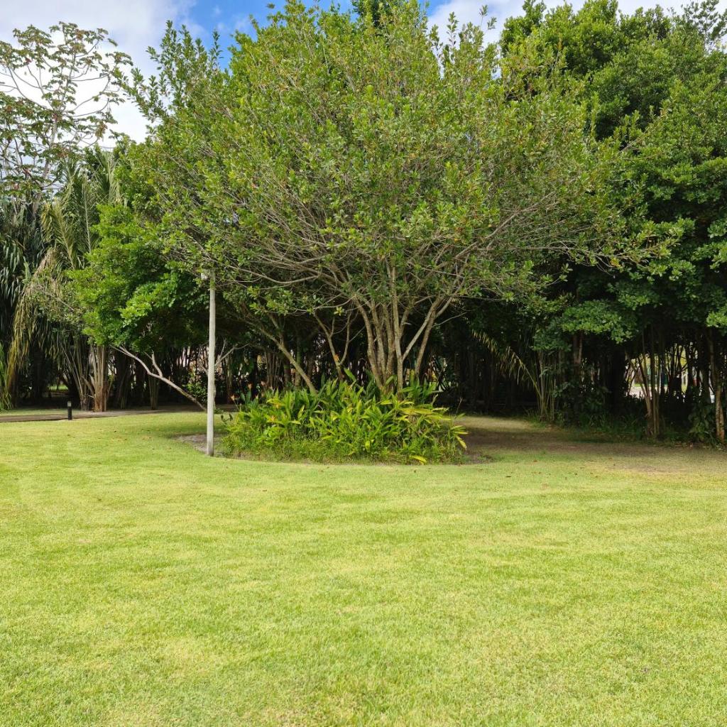 MELHOR APARTAMENTO DO ILOA RESIDENCE BARRA de SÃO MIGUEL — foto 6