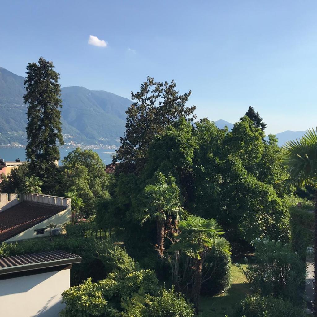 Image 12 - Muralto-Locarno: Miramonti Apt. 17