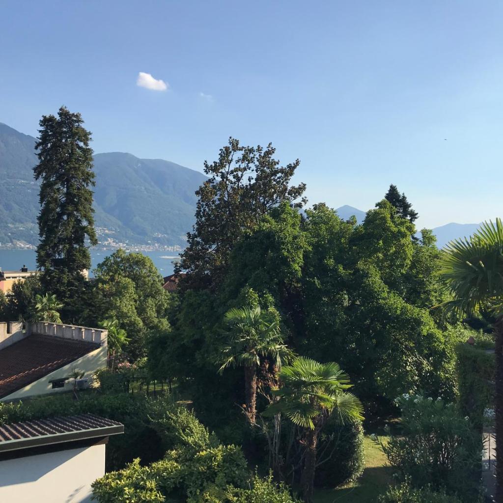 Image 1 - Muralto-Locarno: Miramonti Apt. 17