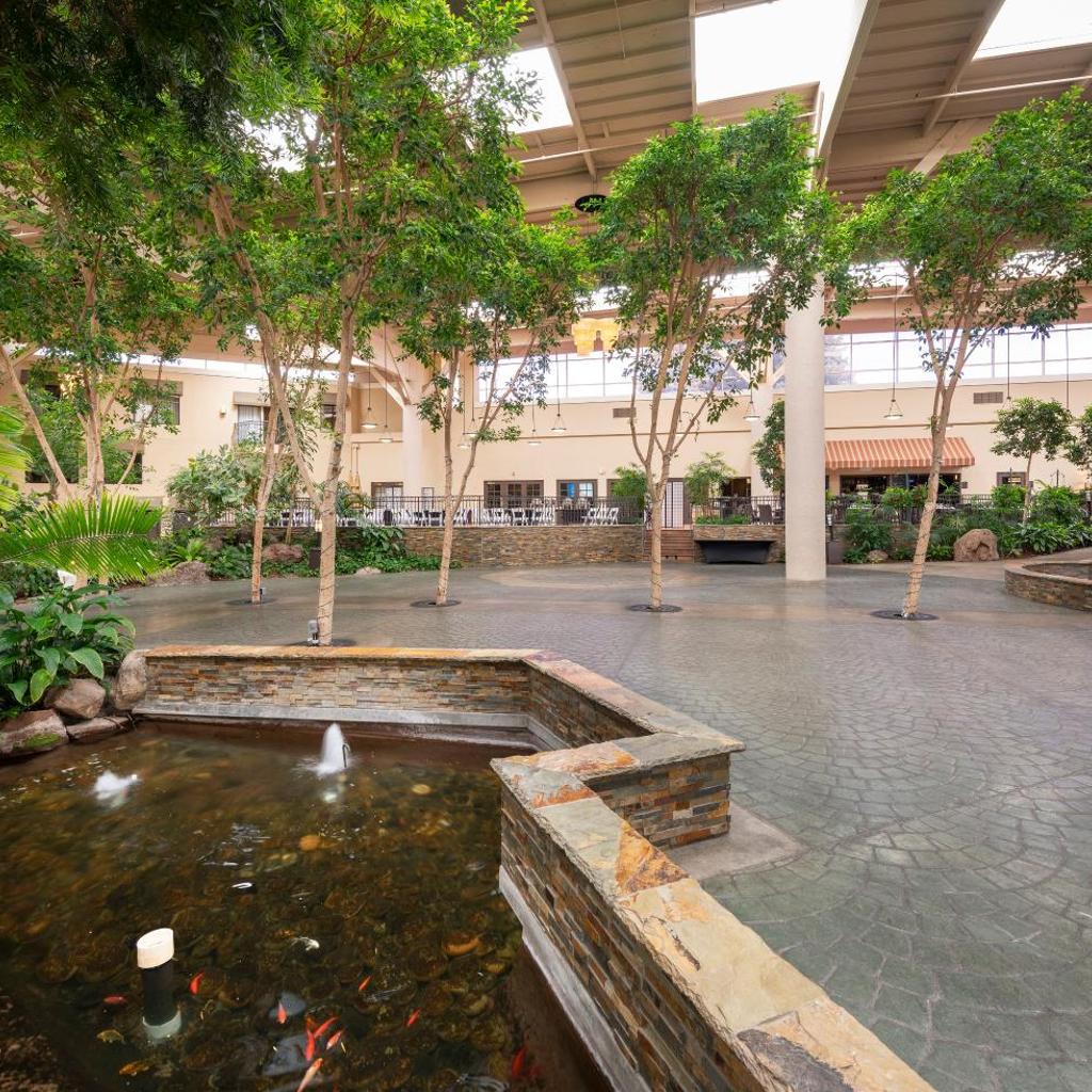 Hotel thumbnail 9
