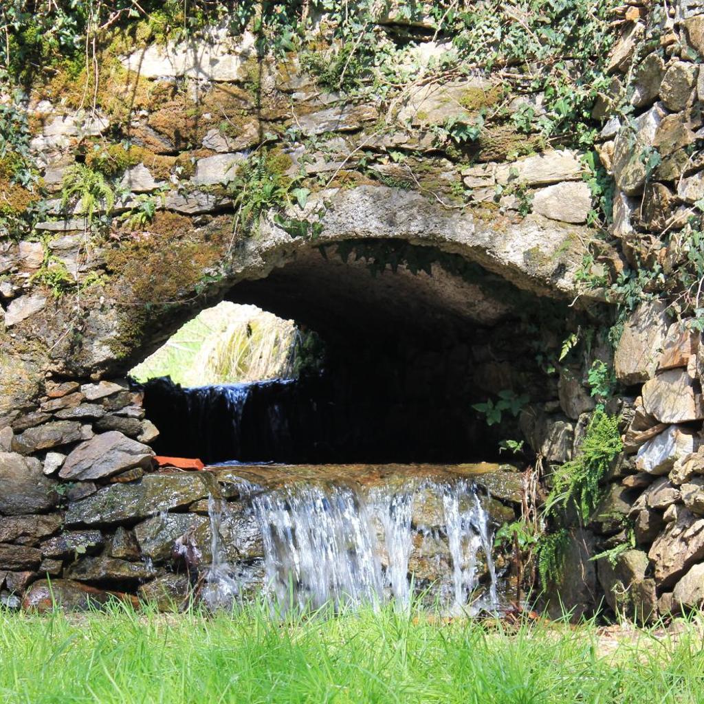 Wine & Art Relais Vallombrosa – Bild