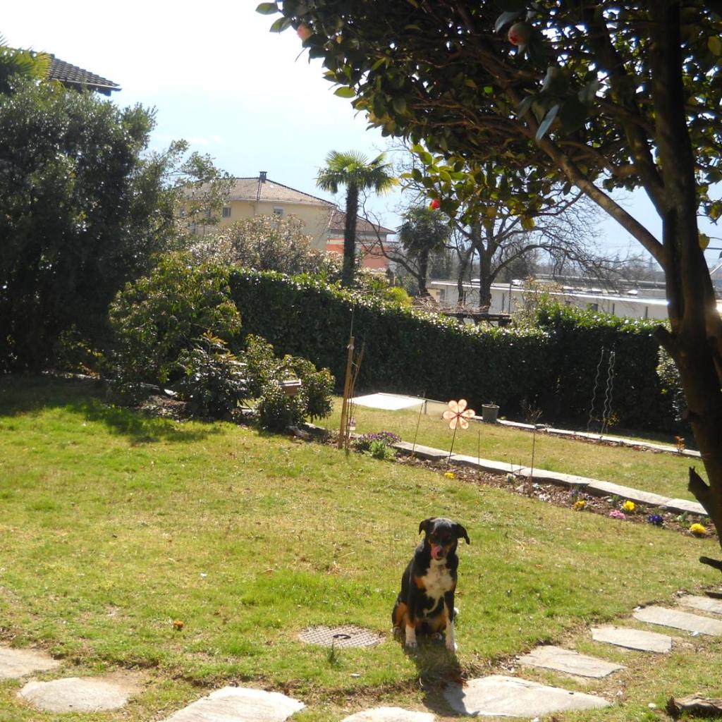 Image 10 - Casa Alice