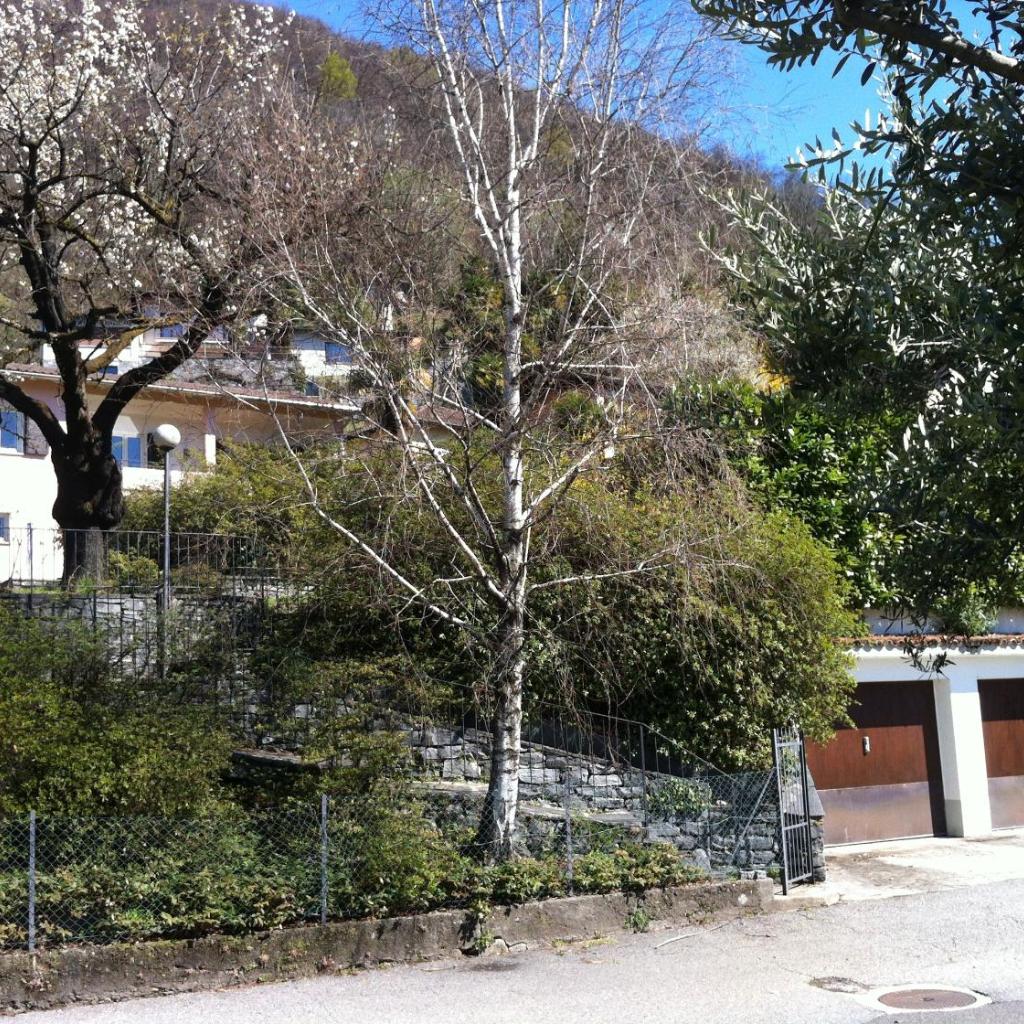Image 33 - Casa Alice