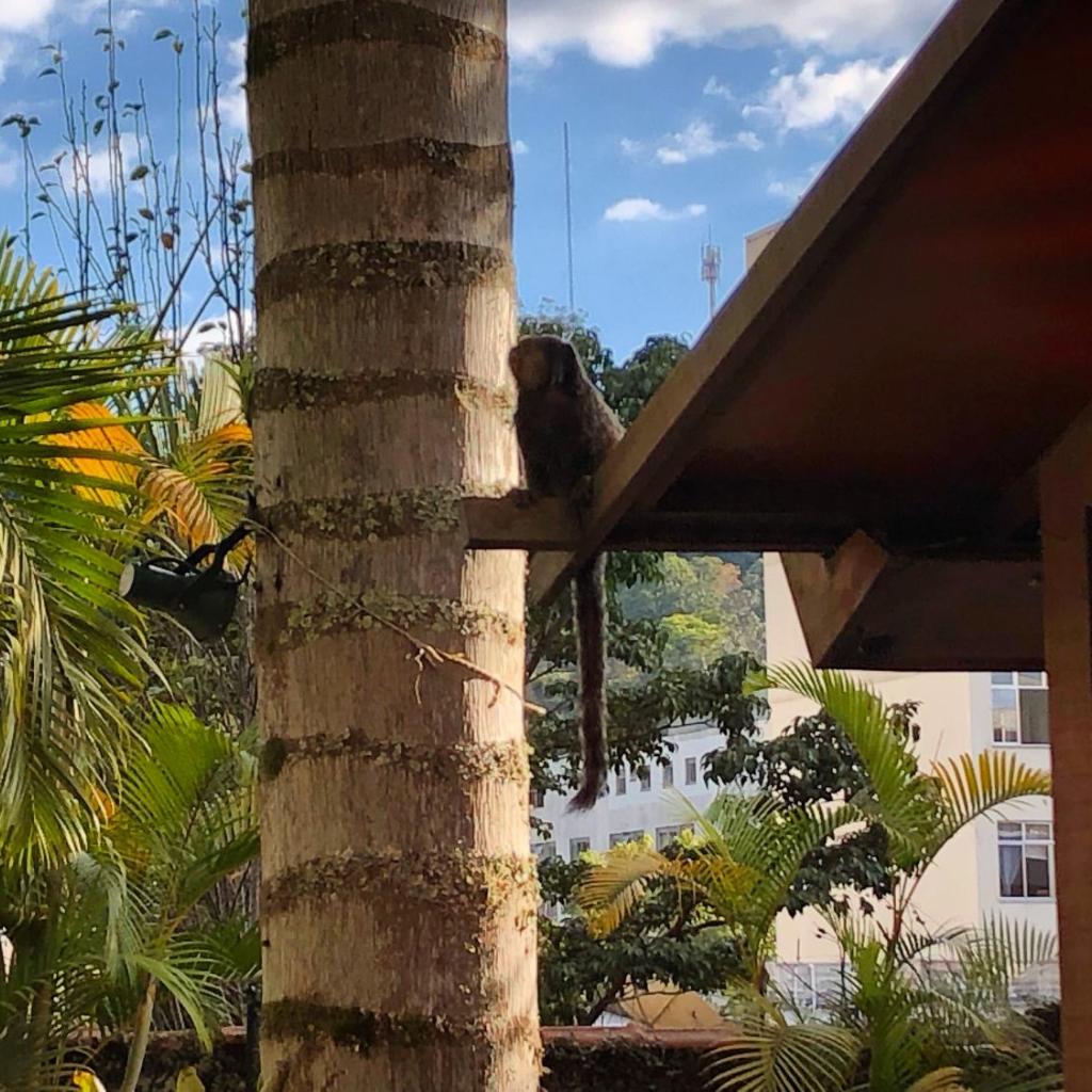 Pousada Pataca de prata - Pousada de Época — foto 10