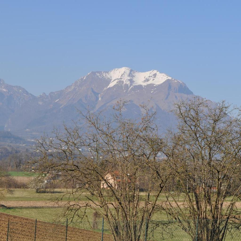 Hotel Piol photo