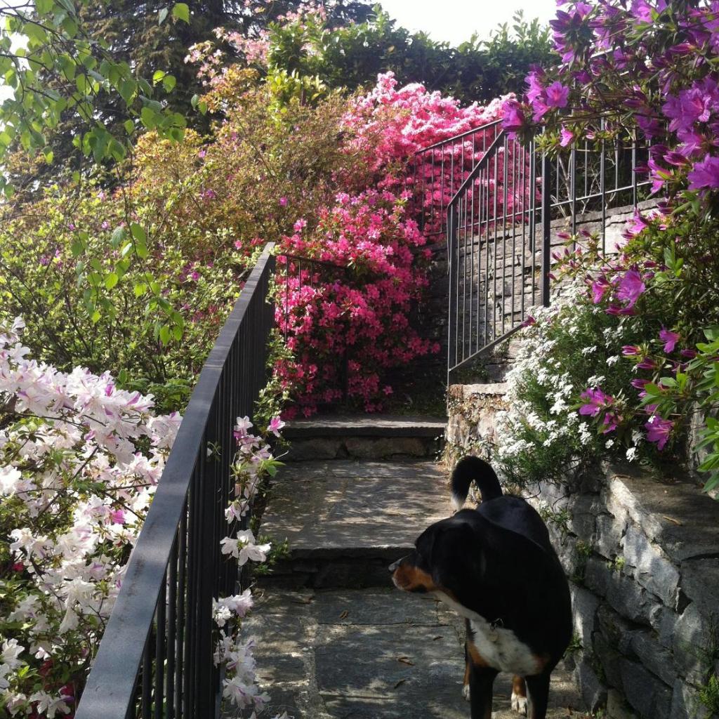 Image 6 - Casa Alice