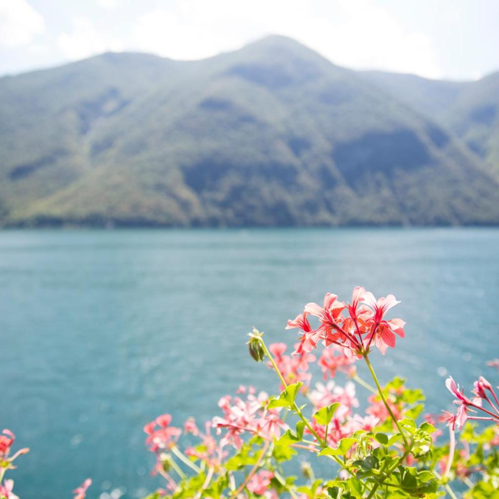 Locanda Gandriese – Bild