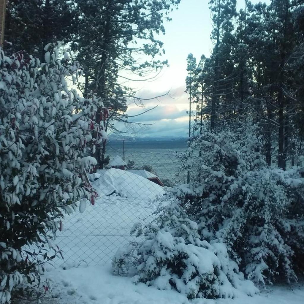 Foto 51