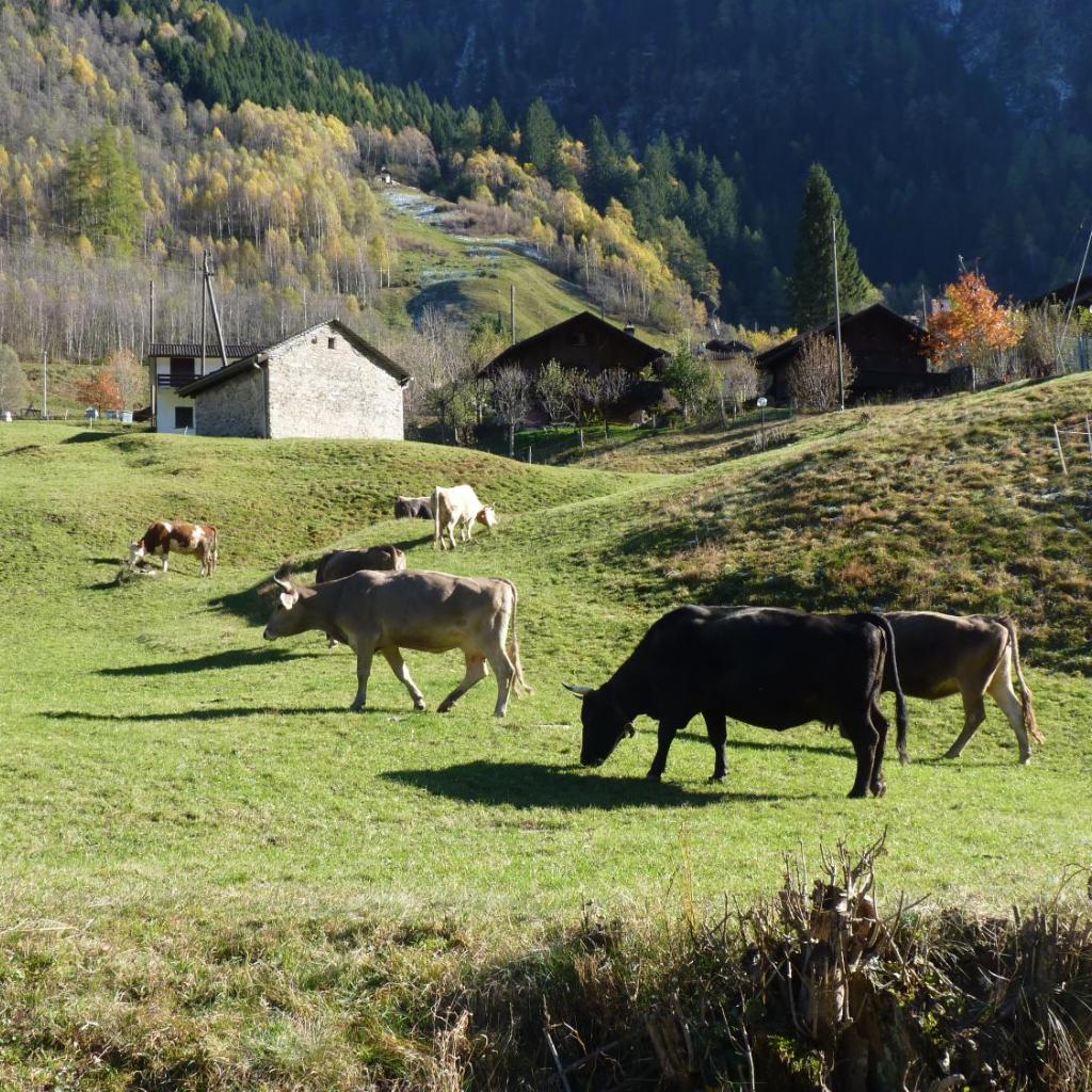 RistoBar B&B al Pont – image