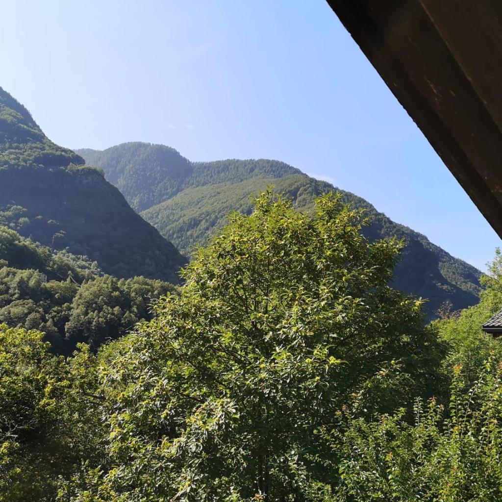 Image 45 - Casa Cantoni
